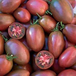Mor domates çeşitleri