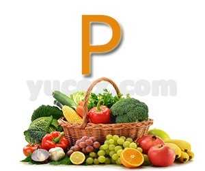 P harfinde salatalık çeşitlerinin tanımı