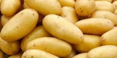 Patates fiyatlarının 2019 açıklaması