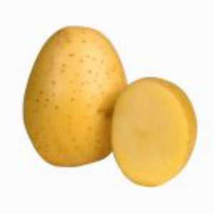 Potato Vineta açıklaması