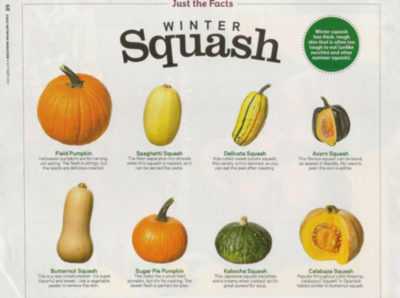 Pumpkin ve zucchini arasındaki fark nedir