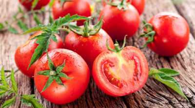Serum ile domates nasıl ve neden püskürtülür