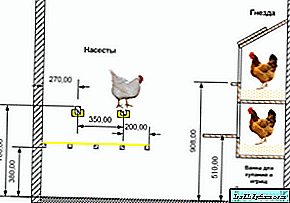 Tavuklar için DIY levrek – basit talimat
