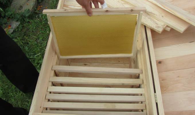tahtadan yapılmış arı kovanı
