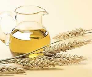 Buğday tohumu yağı, Kaloriler, yararları ve zararları, Faydalı özellikleri