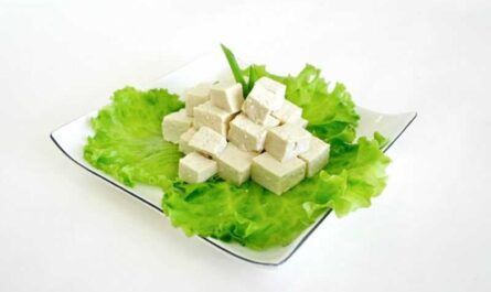 Tofu'nun faydalı ve tehlikeli özellikleri, Kaloriler, faydalar ve zararlar, Faydalı özellikler