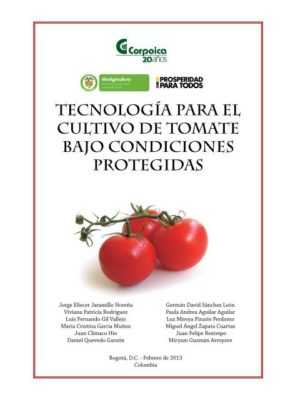 Hiệu quả của phương pháp trồng cà chua của Trung Quốc –