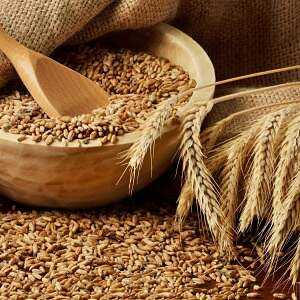 Lúa mì, Lượng calo, lợi ích và tác hại, Đặc tính hữu ích –