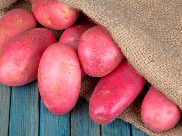 Kjennetegn på prisene på poteter i 2019
