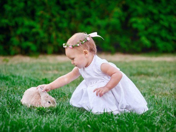 Аллергия на кролика у ребенка