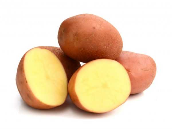 Kjennetegn på Arosa-poteter