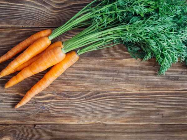 Manfaat dan bahaya atasan wortel