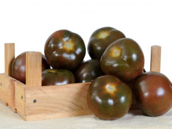 Ciri-ciri tomato Black Pearl