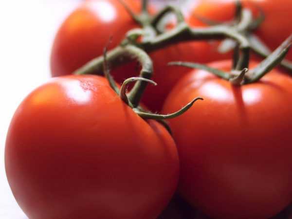 Характеристика томатов сорта Чудо Рынка