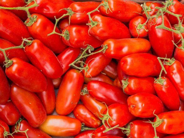 Popis a charakteristika rajčat odrůdy Ladies Fingers