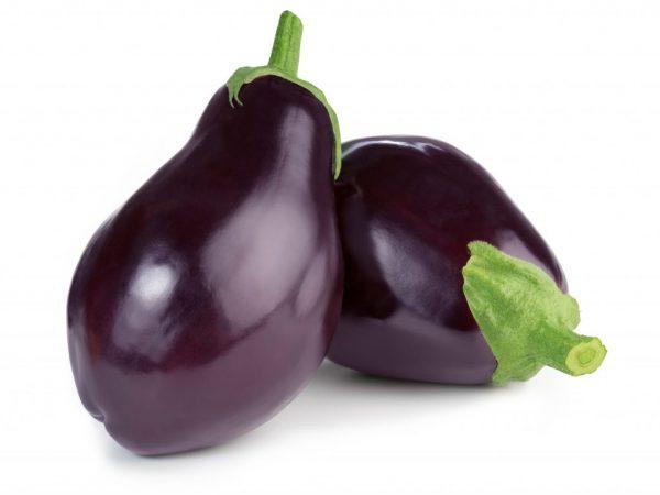 Eggplant yana girma da kyau a cikin greenhouse