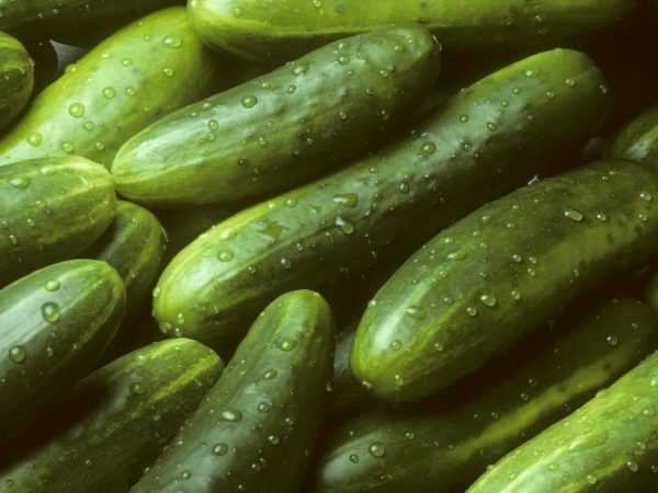 Halayen Esaul cucumbers