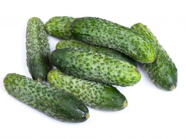 Kenmerken van het ras Furor komkommer