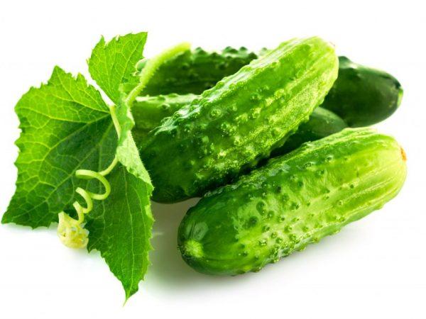 Bayanin cucumbers na Dutch