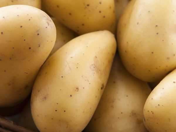 Pěkné a dokonce brambory
