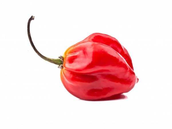 Zdravá a chutná paprika