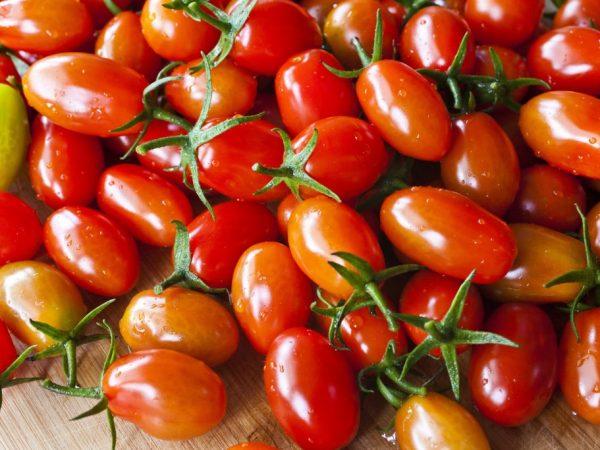 Charakteristika chochlomských paradajok