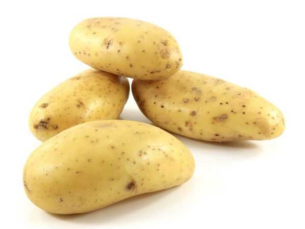 Beschrijving van aardappel keizerin