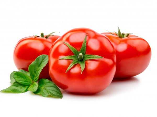 Oppbevaring av ferske tomater