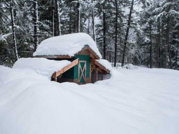 Hur man bygger ett varmt hönshus för vintern