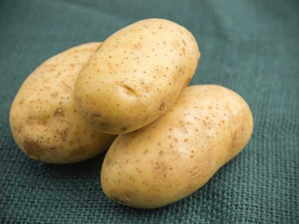 Aardappelen in welke vorm dan ook zijn nuttig