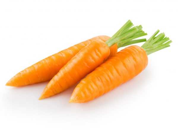 Описание моркови Каротель