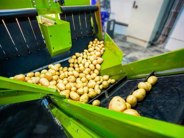 Het werkingsprincipe van de aardappelpootmachine voor de Neva achtertrekker