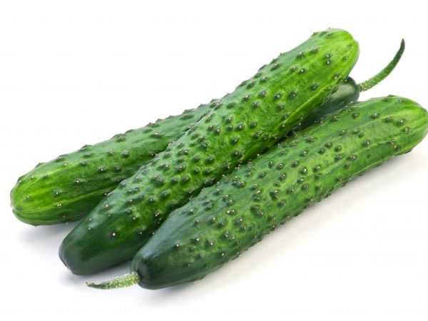 Halayen cucumber mai sanyin sanyi na kasar Sin