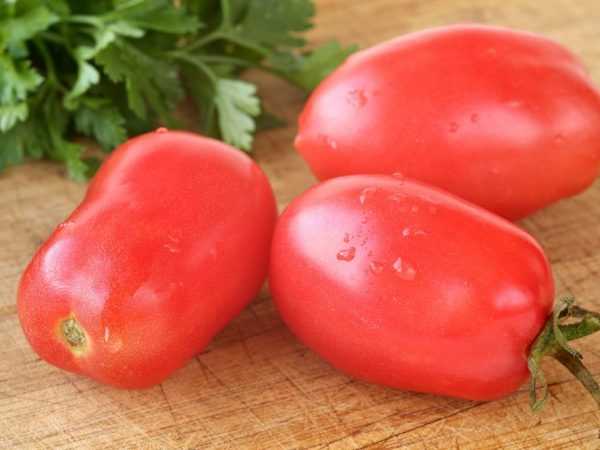 Deskripsi tomat Klasik
