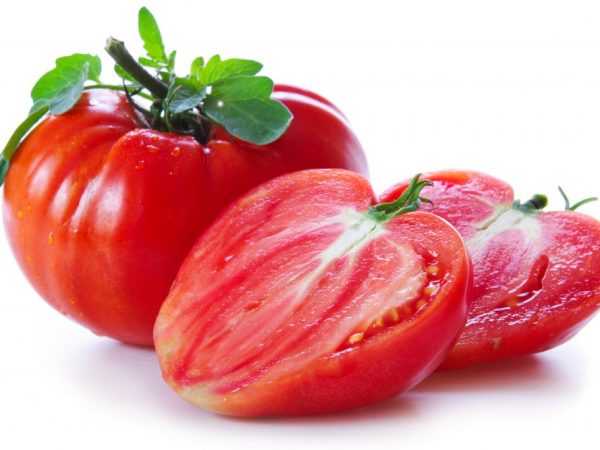 Popis Tomato Market King