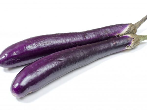 Maelezo ya eggplant Mfalme wa Kaskazini