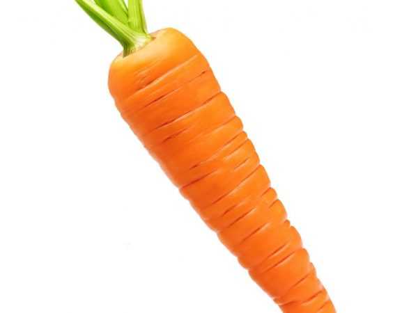 Tyypillisiä halkeamia porkkanoissa