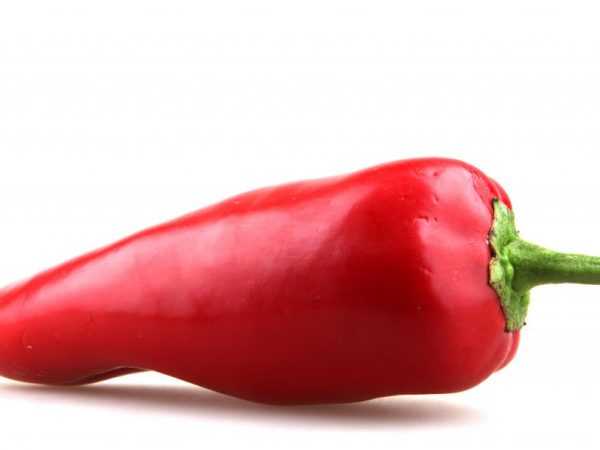 Odrůdy pálivé papriky Red Fat