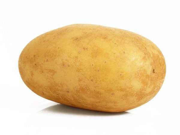 Penerangan mengenai kentang Lad