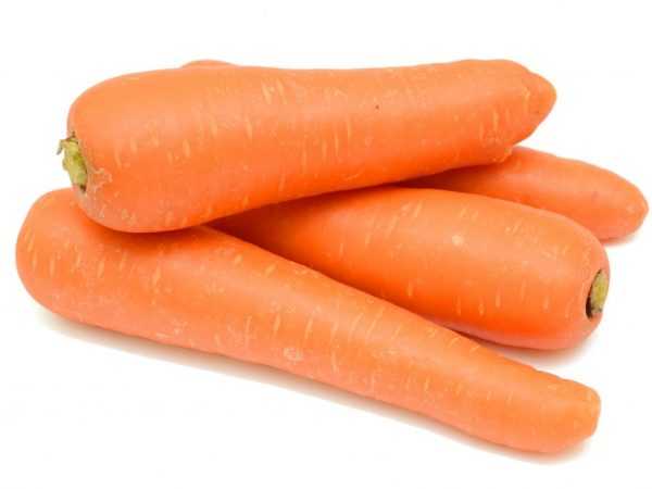Выращивание сорта моркови Лагуна F1