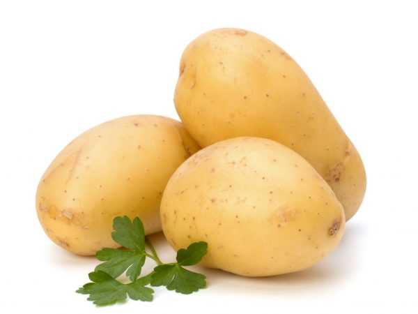 Описание картофеля Леди Клер