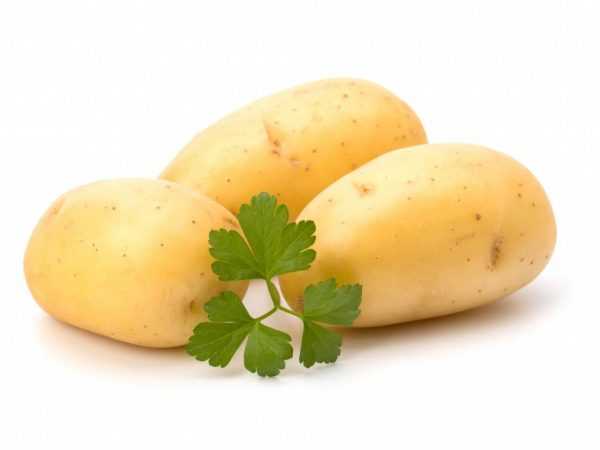 Beskrivelse av poteter Limonka