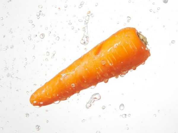 Хорошая морковь при правильной посадке