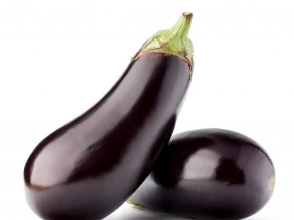 Eggplants ana shuka su tare da seedlings