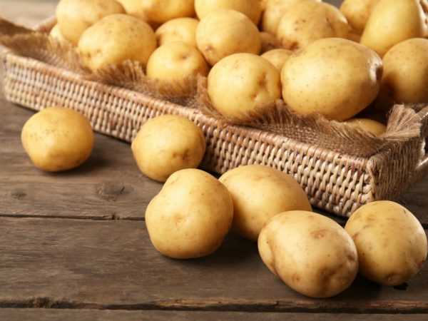 Egenskaper för Natasha-potatis