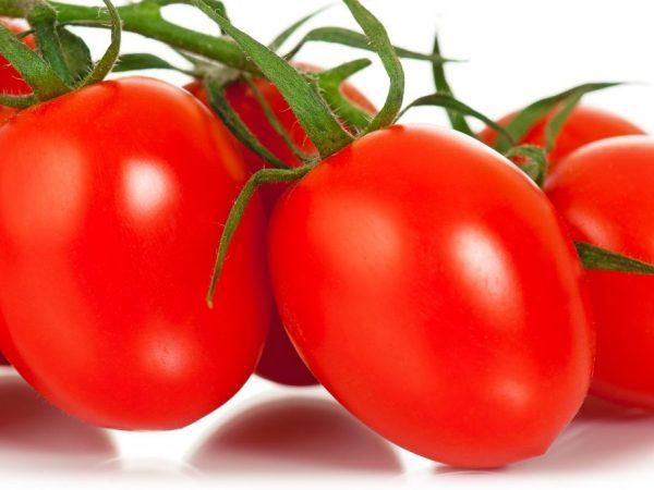 Kjennetegn på Nepas-tomater