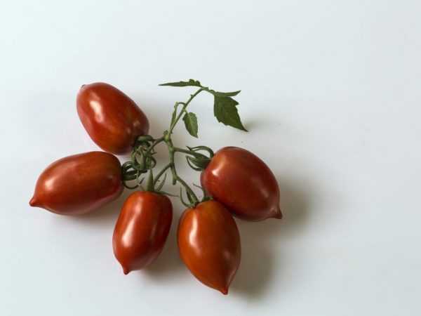 Ciri-ciri tomato Niagara
