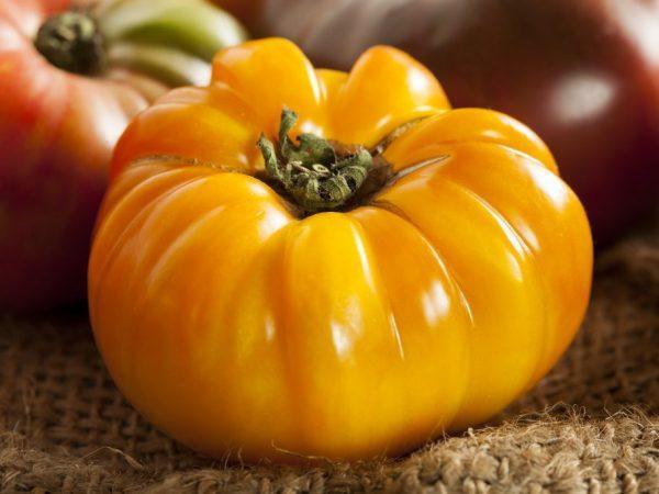 Egenskaper för Tomato Orange Elephant