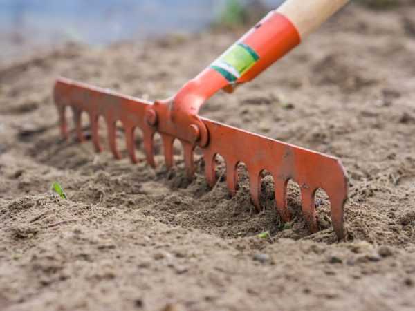 A talaj trágyázása