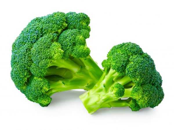 Manfaat dan bahaya brokoli